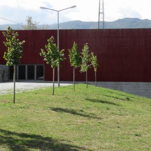 Centro Cultural de S. Cipriano