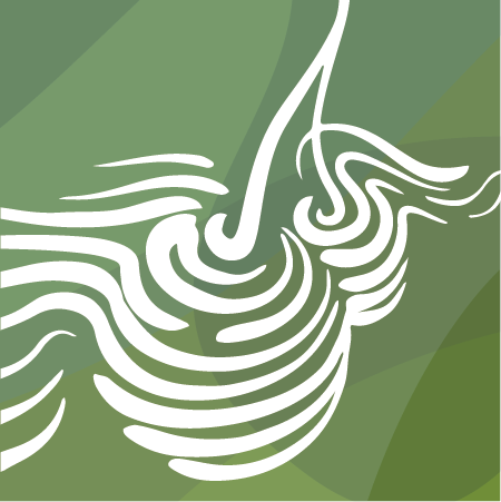 Câmara reúne a 7 de janeiro