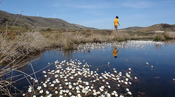 Município inaugura Percursos Pedestres e BTT na Serra de Montemuro