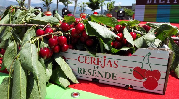 Festival da Cereja é já este fim de semana