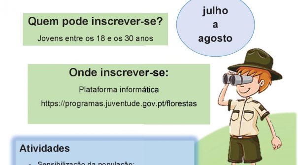 Voluntariado Jovem para a Natureza e Florestas