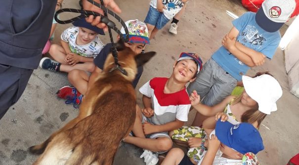 Férias na Câmara ocupam crianças durante o verão