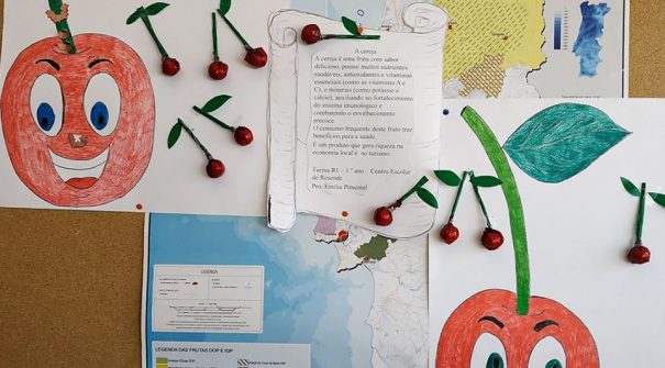 Turma do Centro Escolar de Resende conquista 3.º lugar na iniciativa Volta a Portugal em Fruta