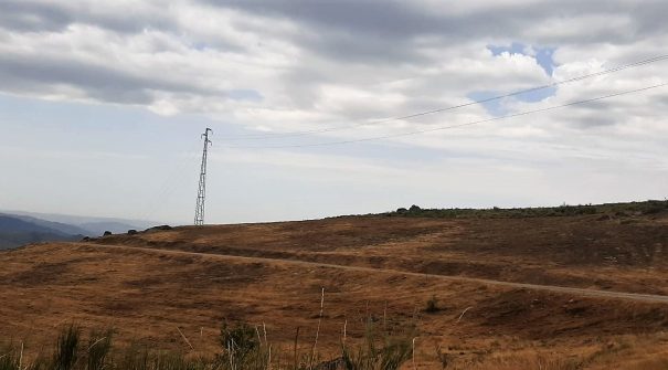 Município promove ações de defesa da floresta contra incêndios