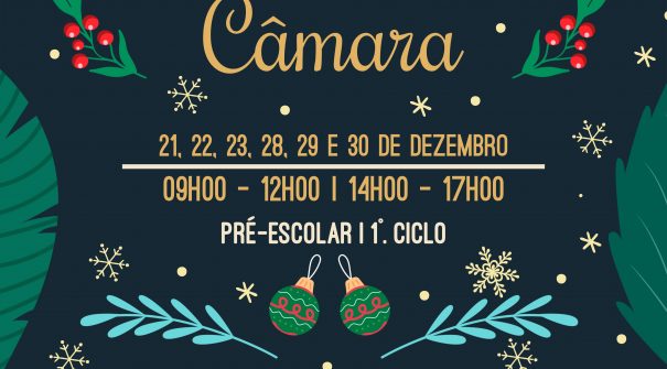 Programa Férias na Câmara – Natal 2020