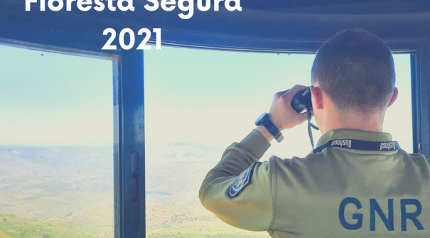 Operação Floresta Segura 2021 – 19 a 23 de abril