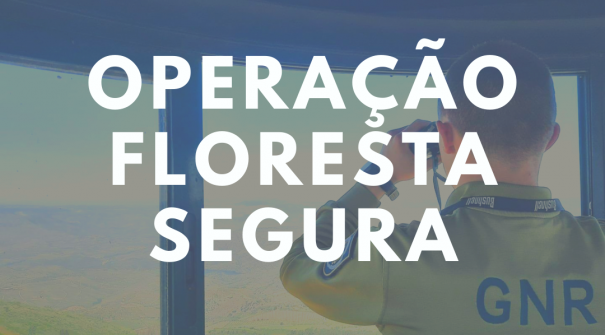 Operação Floresta Segura – 3 a 9 de maio