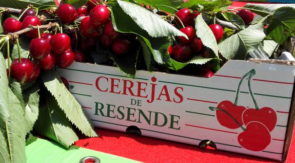 Festival da Cereja regressa a Resende este fim de semana