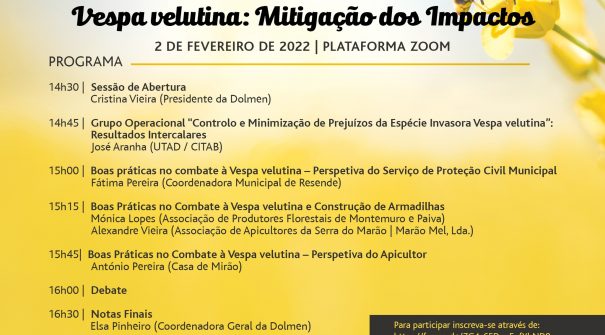 Webinar | Vespa velutina: Mitigação dos Impactos