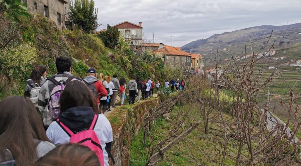 Município celebra Dia da Mulher com Caminhada Solidária