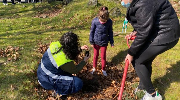 Município assinala Dia Mundial da Árvore ou da Floresta