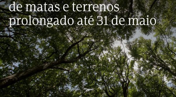 Prazo para limpeza dos terrenos alargado até 31 de maio