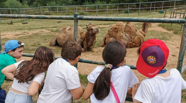 Município oferece às crianças do Pré-escolar e do 1.º Ciclo visita ao Zoo de Sto. Inácio