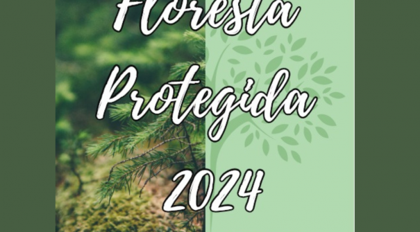 Voluntariado Jovem para a Natureza e Florestas | Inscrições abertas