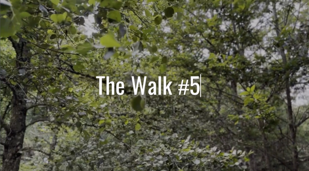 The WALK #5 em Fazamões