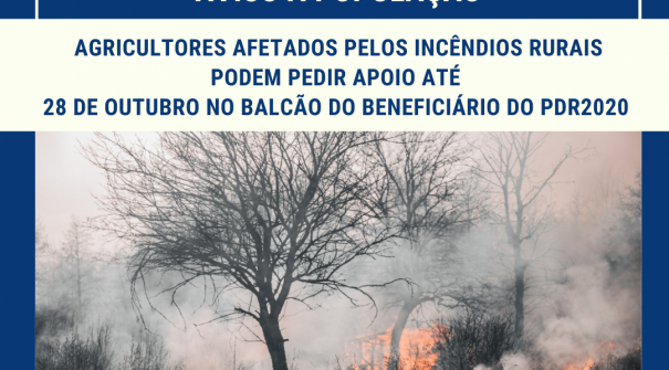 Agricultores afetados pelos incêndios rurais podem pedir apoio até 28 de outubro