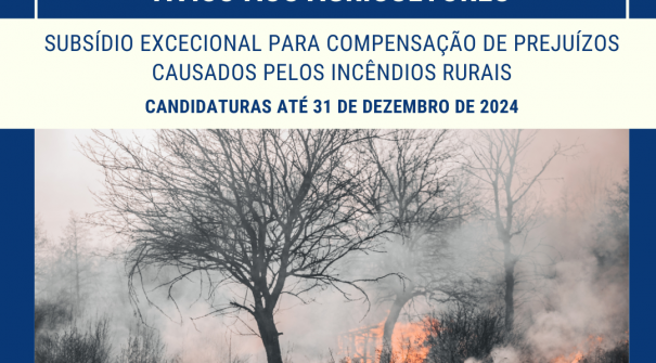 Aviso aos Agricultores – Subsídio excecional para compensação de prejuízos causados pelos incêndios rurais