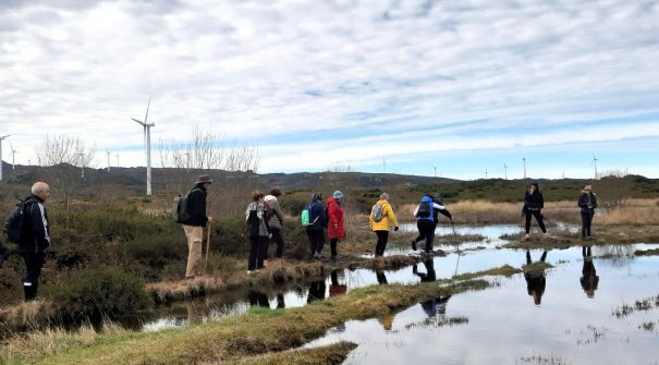 Caminhada pelo PR3 – Lagoa D. João reuniu dezenas de participantes