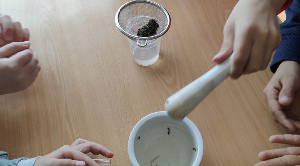 Experimenta Ciências leva o ensino experimental às salas de aula do 1.º ciclo em Resende