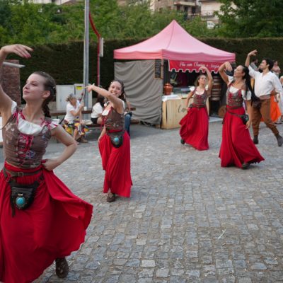 S. Martinho de Mouros recuou à época medieval