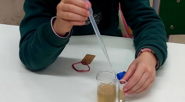“Experimenta Ciências” nos 3 Centros Escolares