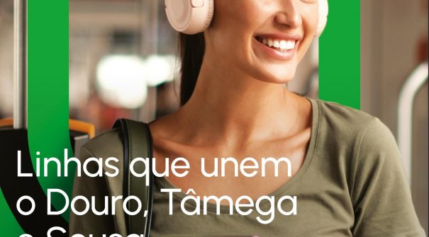 Linhas na Região do Douro, Tâmega e Sousa
