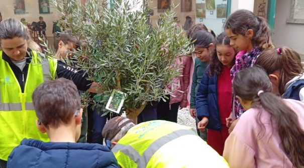 Museu Municipal promoveu a iniciativa “Plantar para Colher – Poesia Popular”