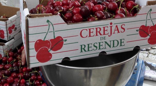 Festival da Cereja 2026