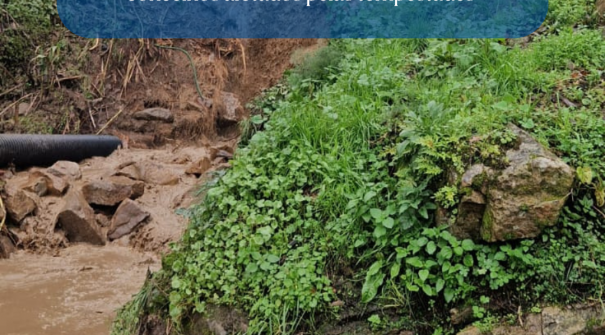 Resende abrangido por regime excecional para recuperação após tempestades