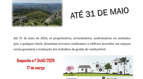 Limpeza de Terrenos