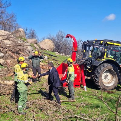 Preparação do Penedo de São João para ação de sensibilização e reflorestação