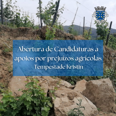 Abertura de Candidaturas a apoios por prejuízos agrícolas – Tempestade Kristin