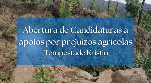 Abertura de Candidaturas a apoios por prejuízos agrícolas – Tempestade Kristin