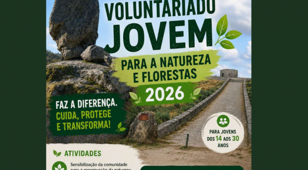 Inscrições para o Programa Voluntariado Jovem para a Natureza e Florestas