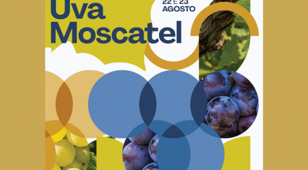 Festival da Uva Moscatel de Barrô
